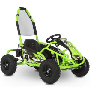 Interceptor Kids Gas Powered Go Karts.