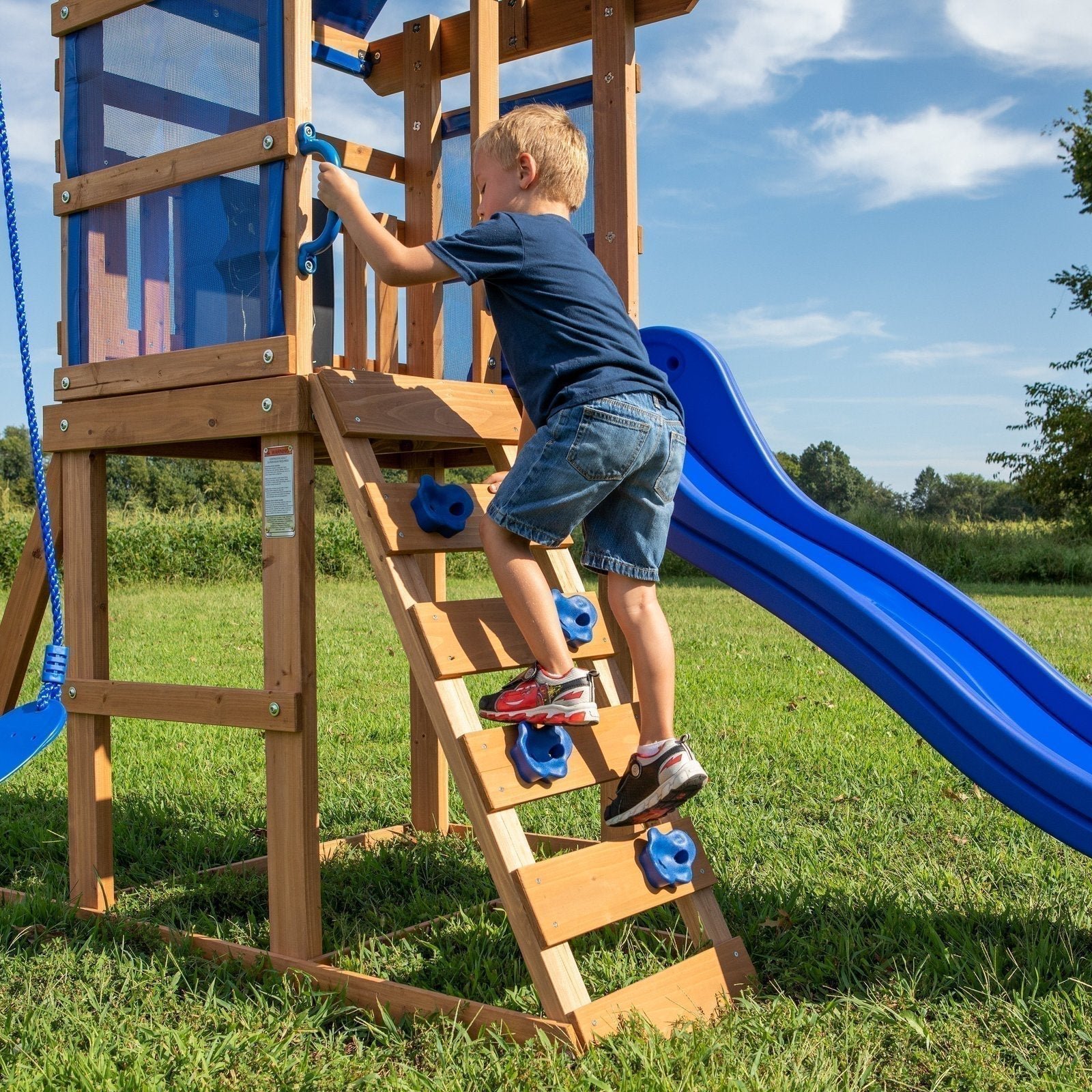 Aurora-Swing-Set-Ladder.jpg