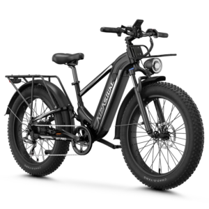 Aipas M2 Xterrain Ebike Aipas-M2-black Baskets.