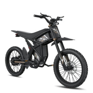 Riding Times GT73 Pro 60V/36Ah 3000W Off-Road Electric Dirt Bikes